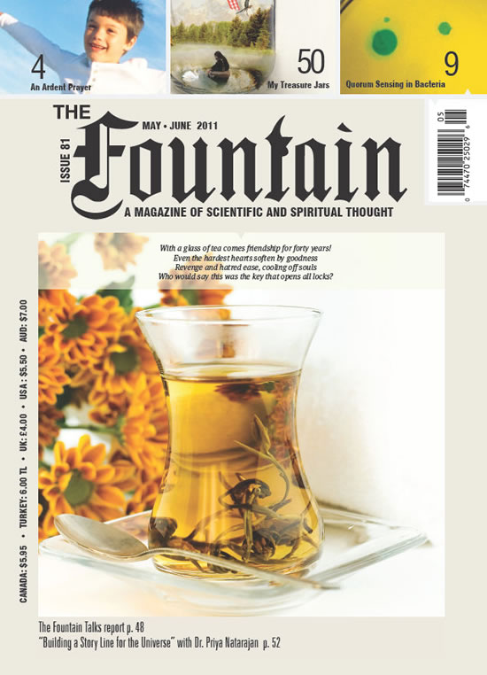 Issue 81 (May - June 2011)