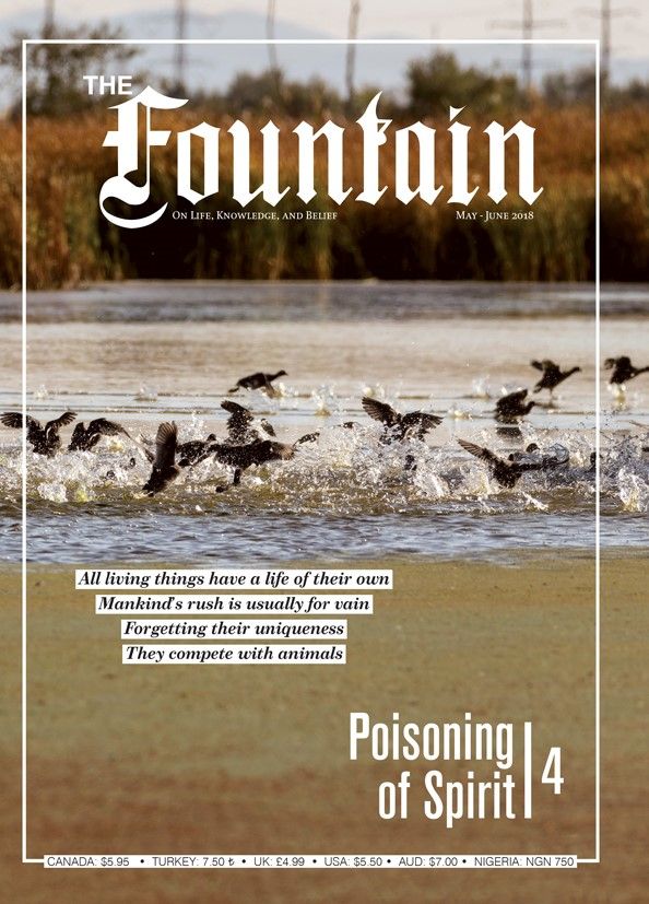 The Fountain Issue 123 (May - June 2018)