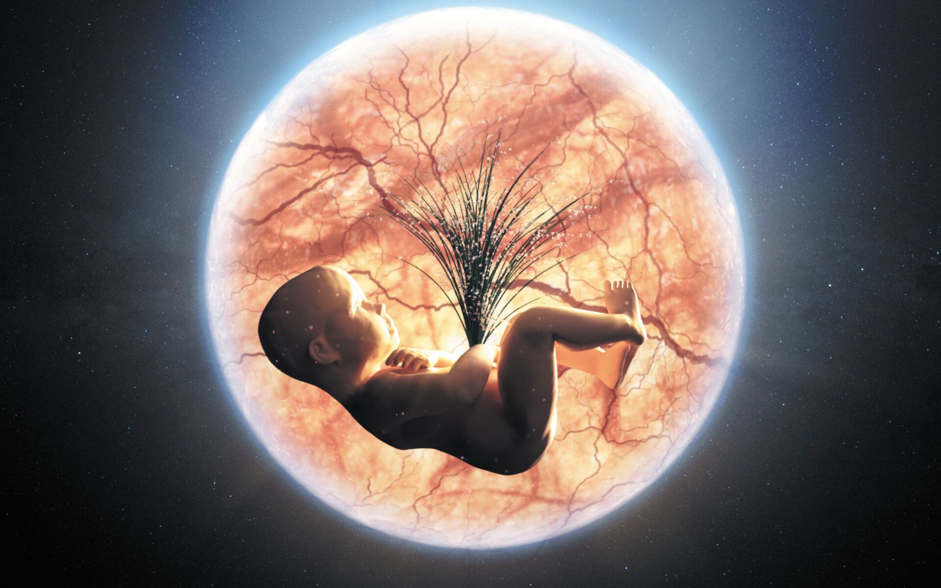 A Journey of the Mind in the Mother’s Womb